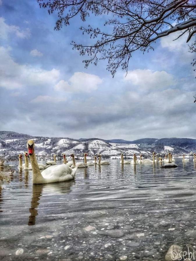 Vila Roxana Pangarati Buitenkant foto
