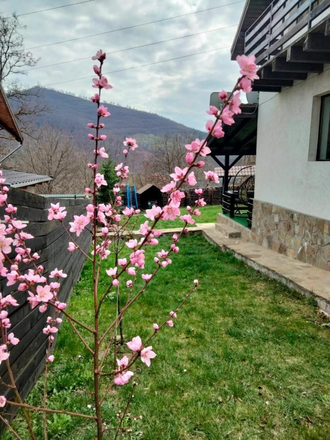 Vila Roxana Pangarati Buitenkant foto